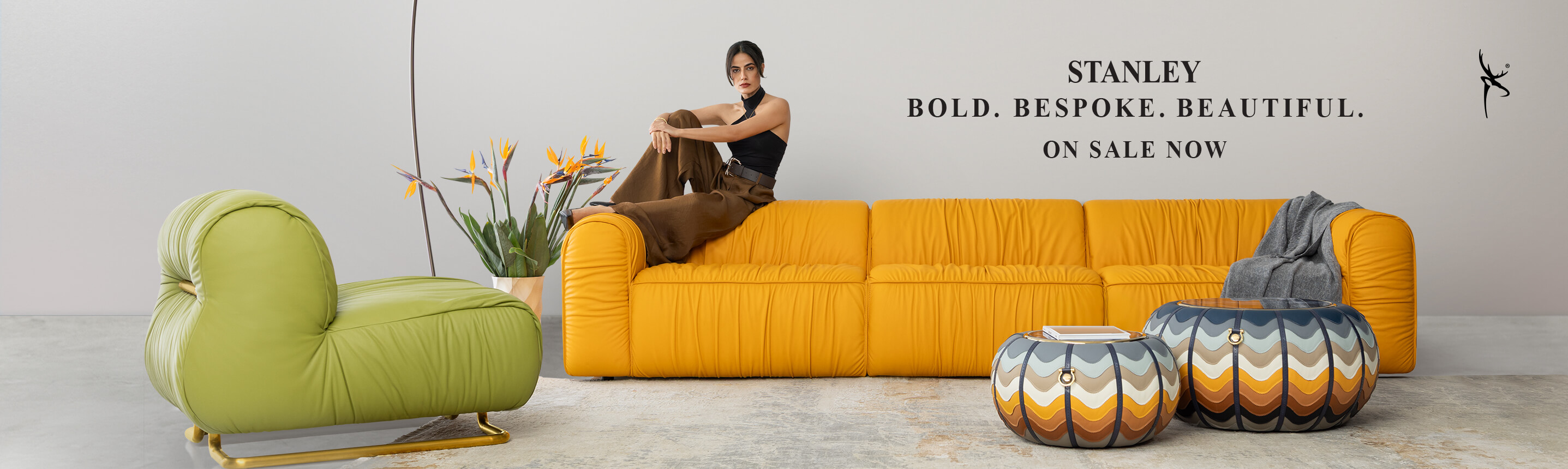 Home 1st d Banner -  Rollo